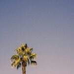 1754667169190×832282354697942300-feature