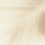 1754681209699×149347615014237000-feature