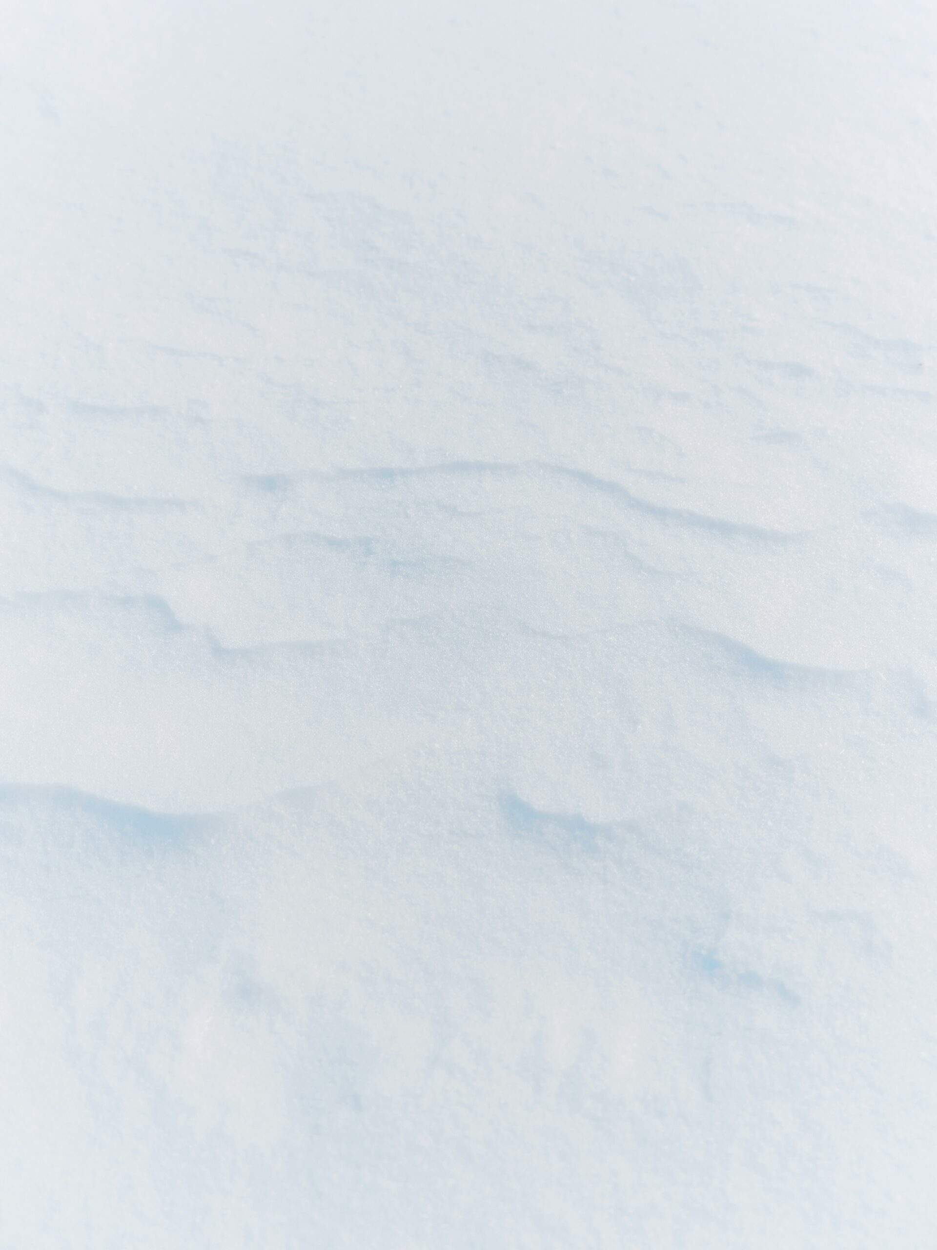 1754681209710×475402089582566140-feature