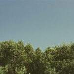 1754681209713×151599199671049500-feature