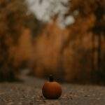 1754681209716×530003358732953150-feature