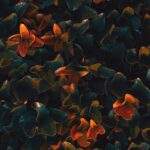 1754686901440×483294815398092740-feature