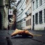 1754686901454×155904249928603650-feature