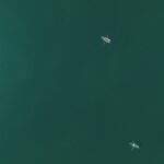 1754686901457×986891820957489300-feature