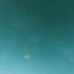 1754686901460×414164896522432960-feature