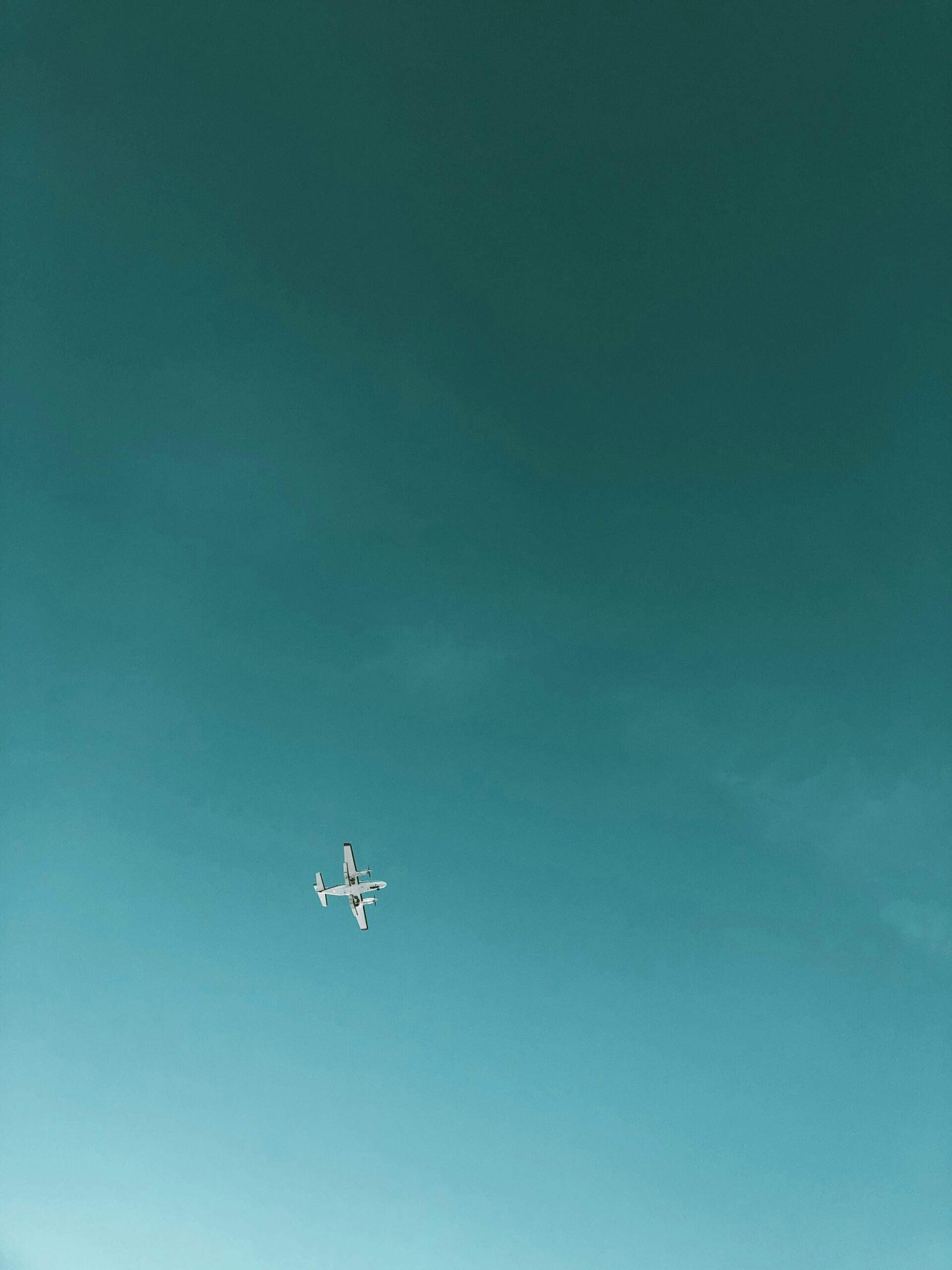 1754686901460×414164896522432960-feature