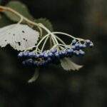 1754686901473×257309890102371170-feature