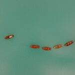 1754686901493×268059878153138700-feature