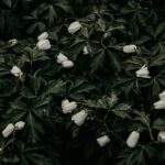 1754686901722×415619881743060300-feature