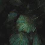 1754686901742×103292425125772750-feature