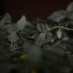 1754686901746×305514481306105300-feature