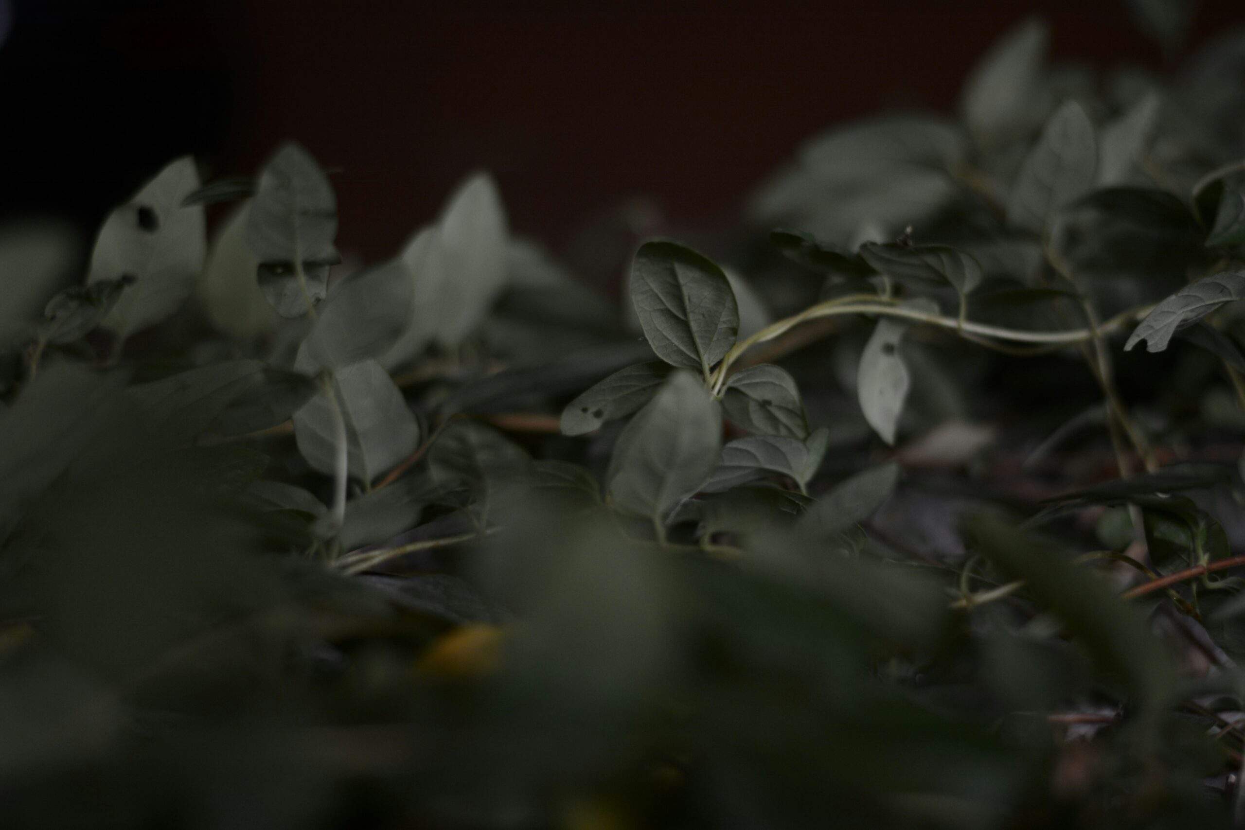 1754686901746×305514481306105300-feature