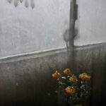 1754686901759×754790540489131300-feature