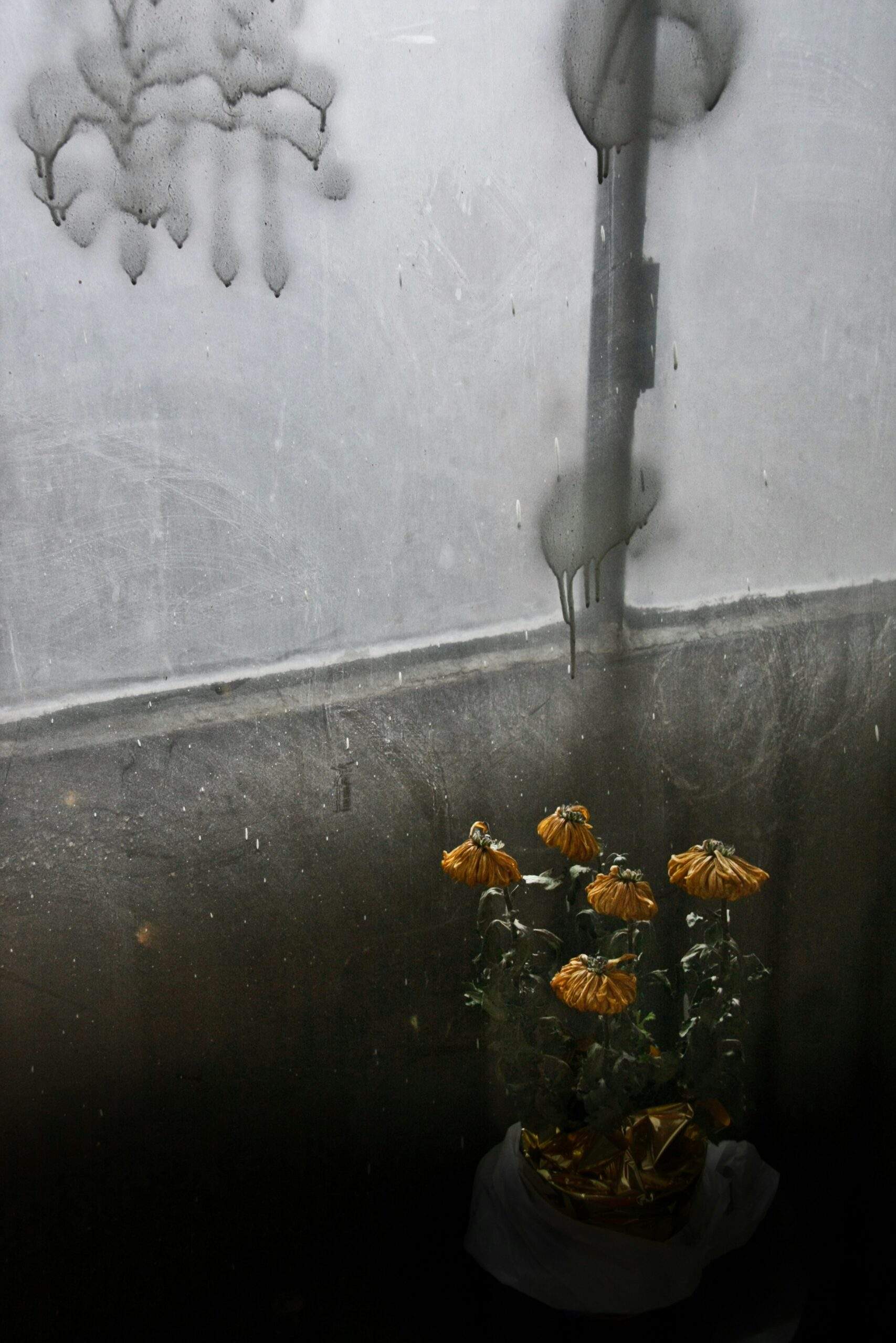 1754686901759×754790540489131300-feature